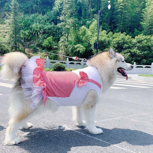 Princess Costume for Large Dogs