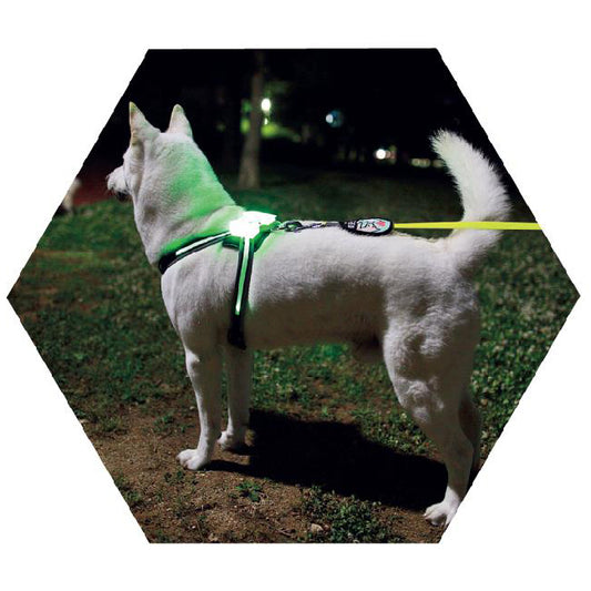LED Luminous Dog Collar USB Rechargeable Silicone