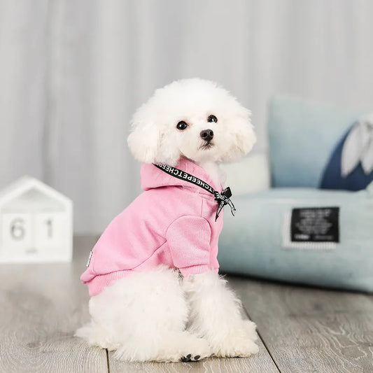 Fresh New Pet Clothing