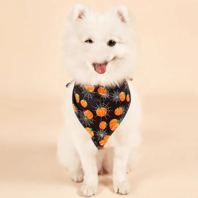 Halloween Double-Sided Pet Towel