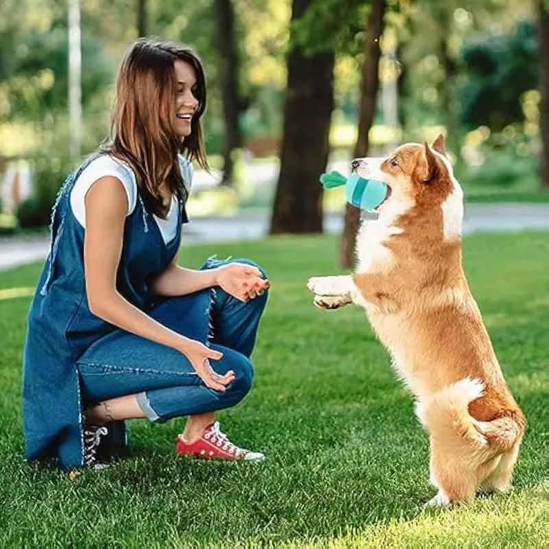 Interactive Durable Dog Puzzle Toys