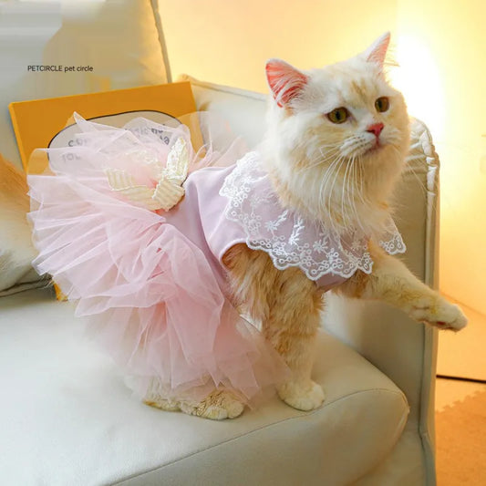 Lace Cat Clothing for Pets