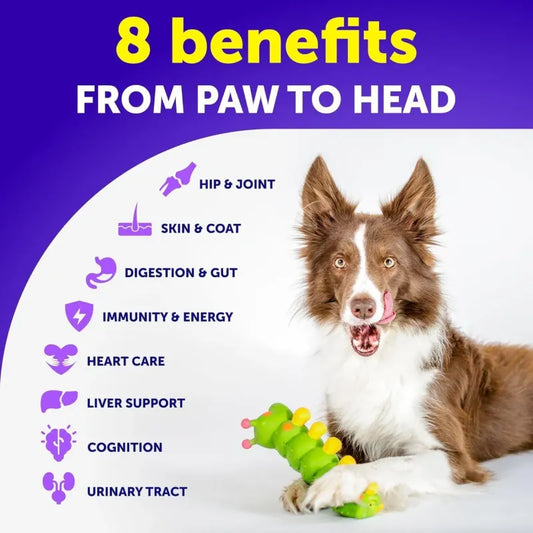 20-in-1 Dog Multivitamin Chews