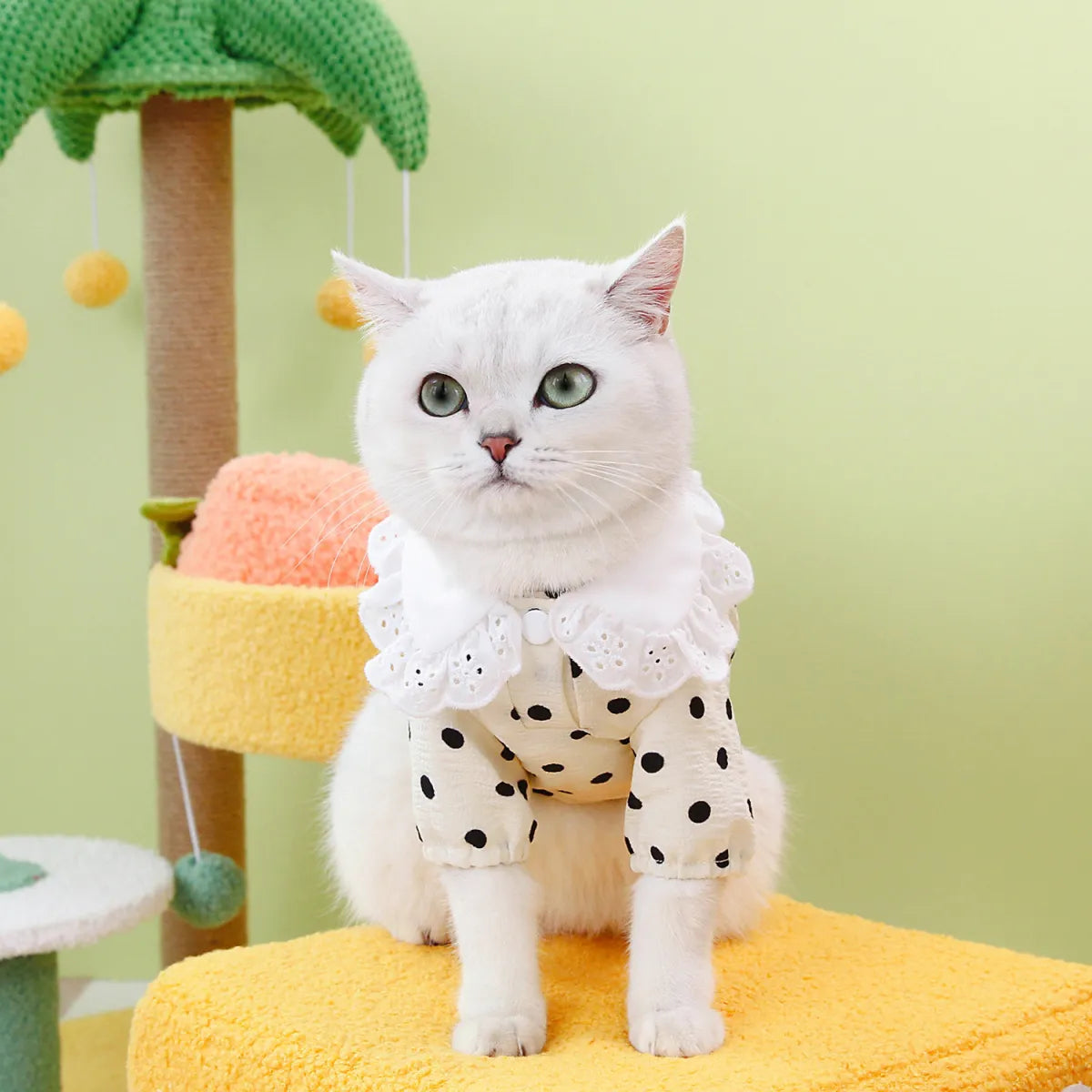 Blue Ragdoll Cat T-Shirt