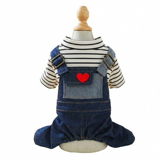 Vintage Heart Dog Outfit