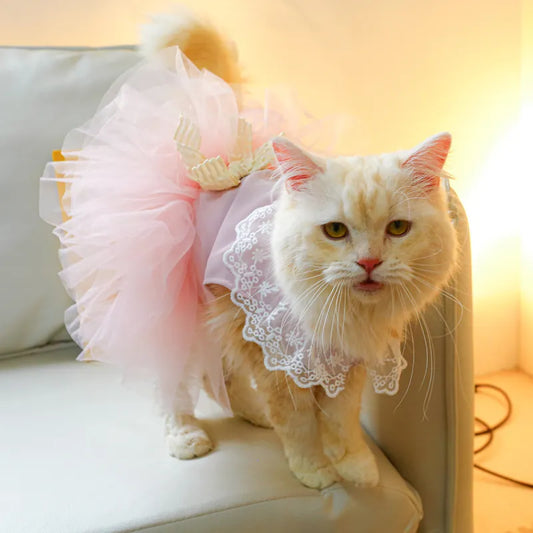 Lace Cat Clothing for Pets
