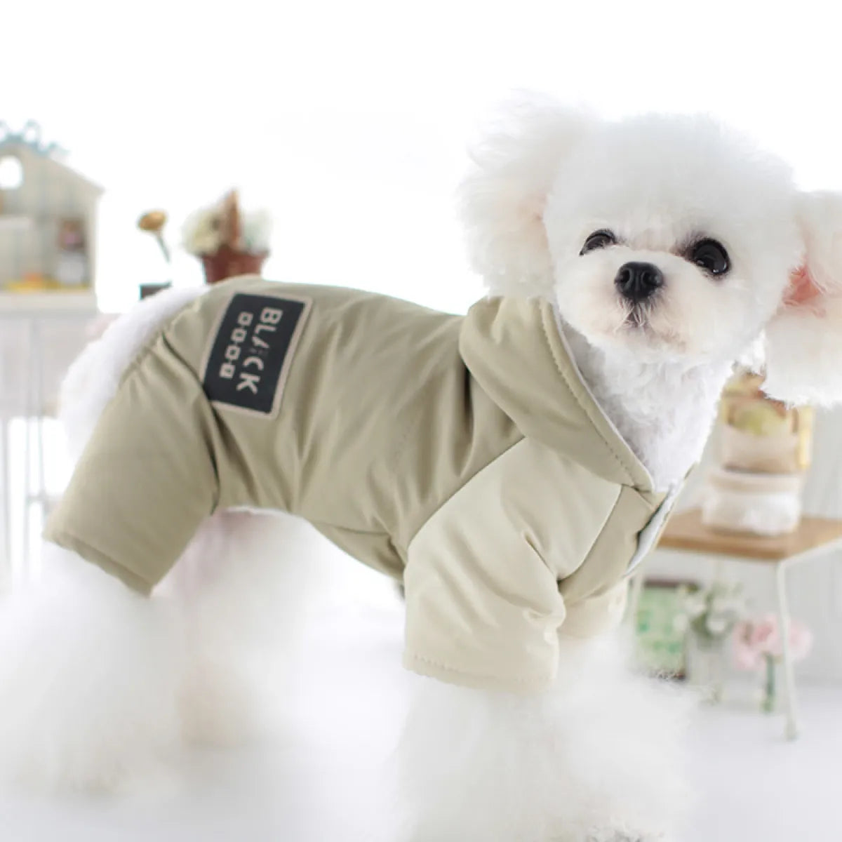 Hooded Shoulder Cap Dog Clothes