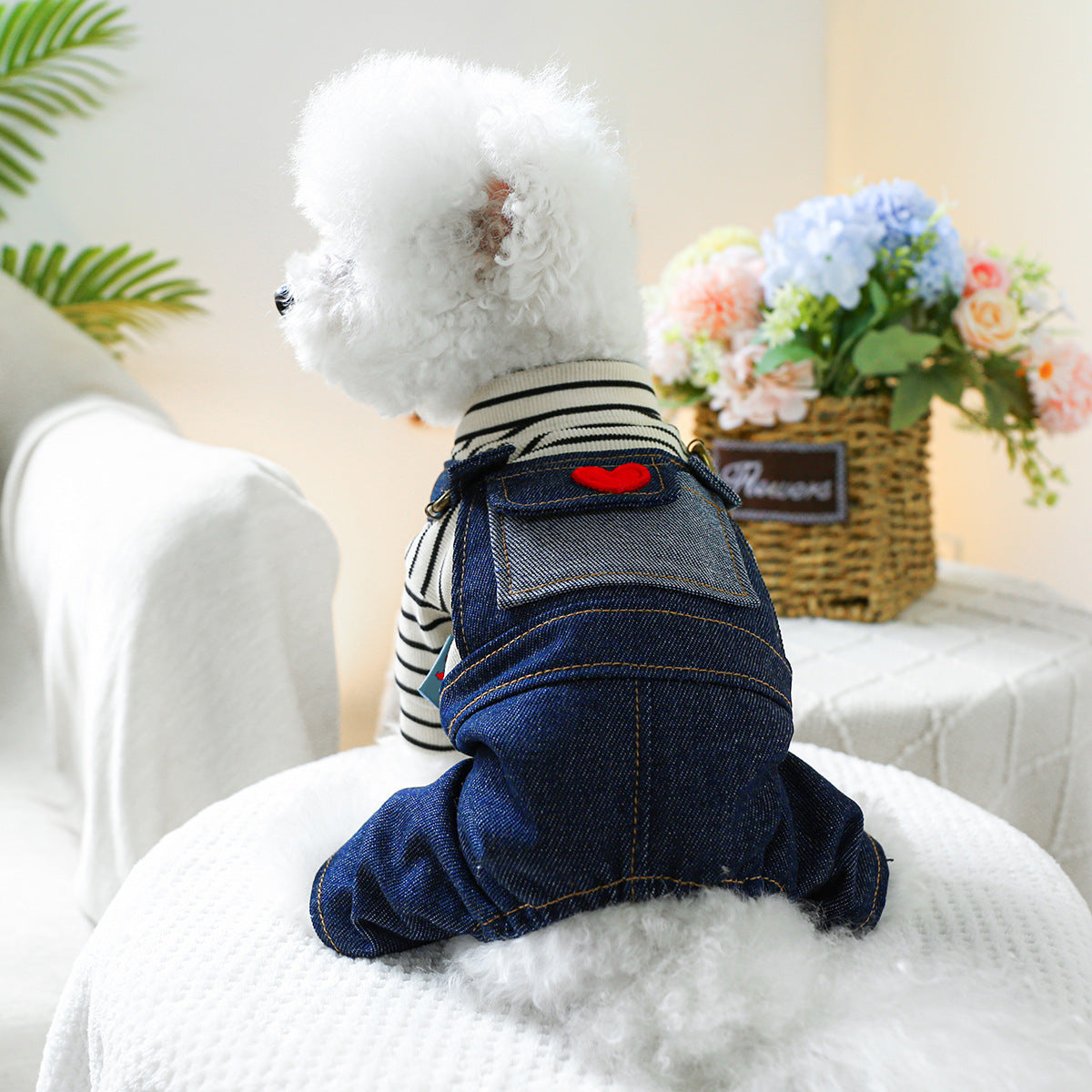 Vintage Heart Dog Outfit