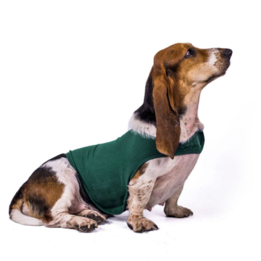 Comforting Warm Dog Anxiety Vest