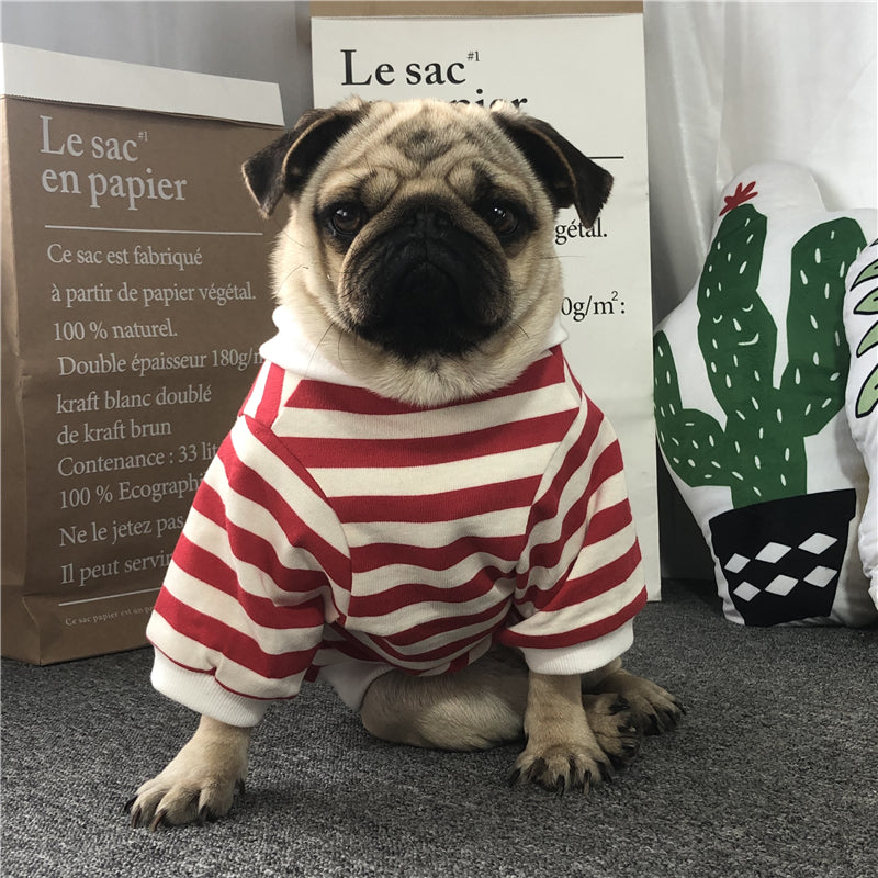 Cute Fur Ball Dog Outfit