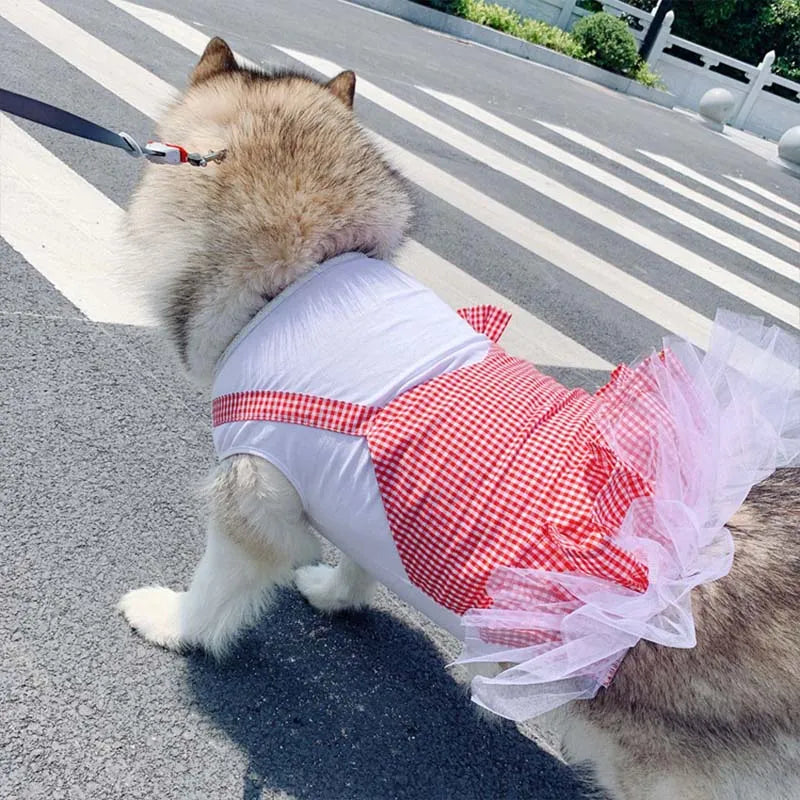 Princess Costume for Large Dogs