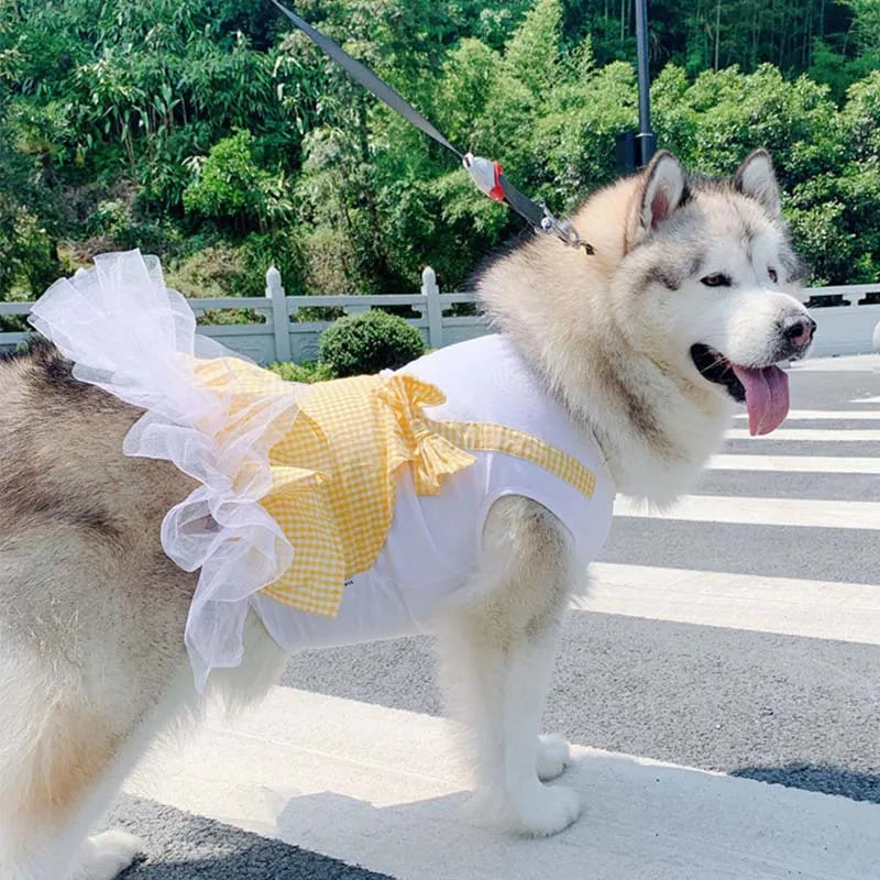 Princess Costume for Large Dogs