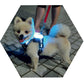 LED Luminous Dog Collar USB Rechargeable Silicone