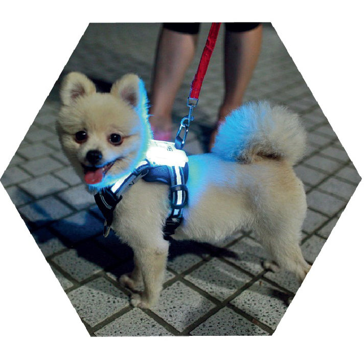 LED Luminous Dog Collar USB Rechargeable Silicone