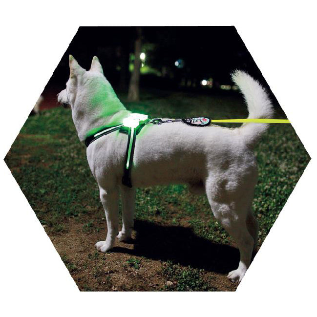 LED Luminous Dog Collar USB Rechargeable Silicone