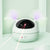 Automatic electric cat toy