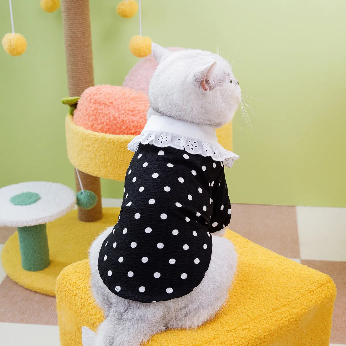 Blue Ragdoll Cat T-Shirt