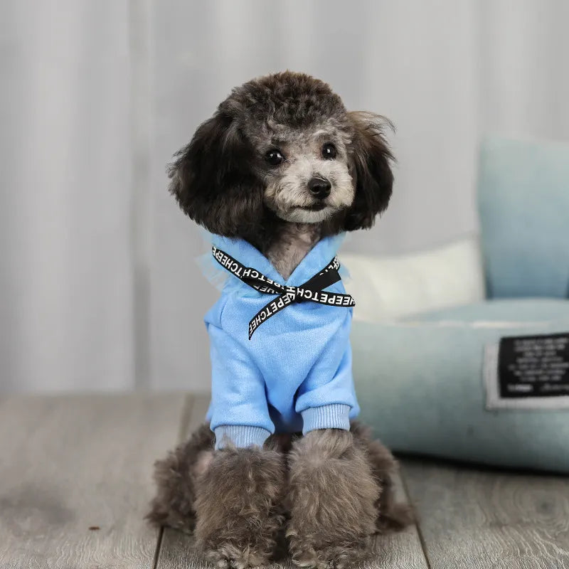 Fresh New Pet Clothing