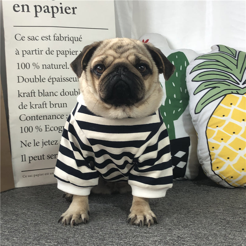Cute Fur Ball Dog Outfit