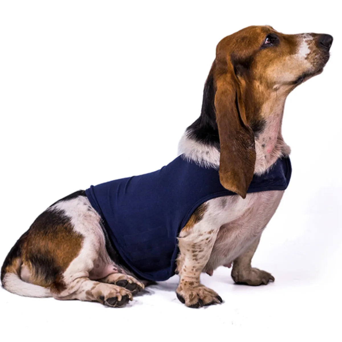 Comforting Warm Dog Anxiety Vest