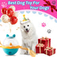 Interactive Dog Treat Ball Slow Feeder Toy