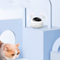 Automatic electric cat toy