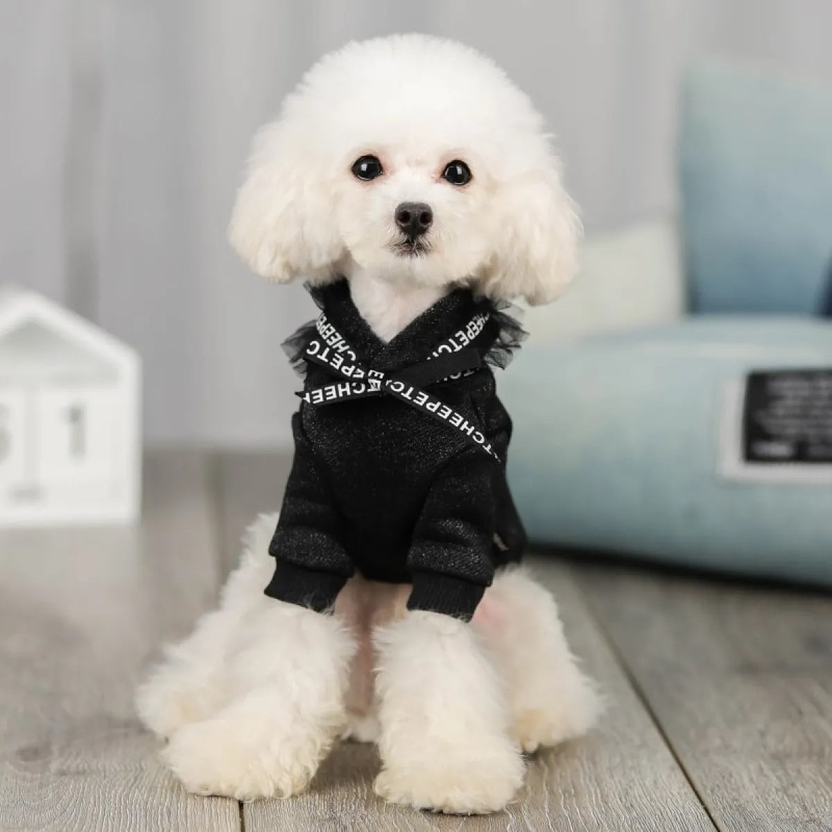 Fresh New Pet Clothing