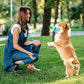 Interactive Durable Dog Puzzle Toys