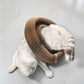 Accordion Cat Scratching Board Interactive Kitty Toy