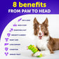 20-in-1 Dog Multivitamin Chews