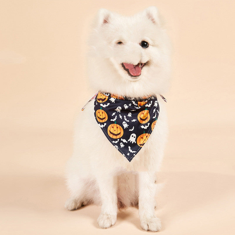 PET WEARS