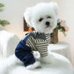 Vintage Heart Dog Outfit