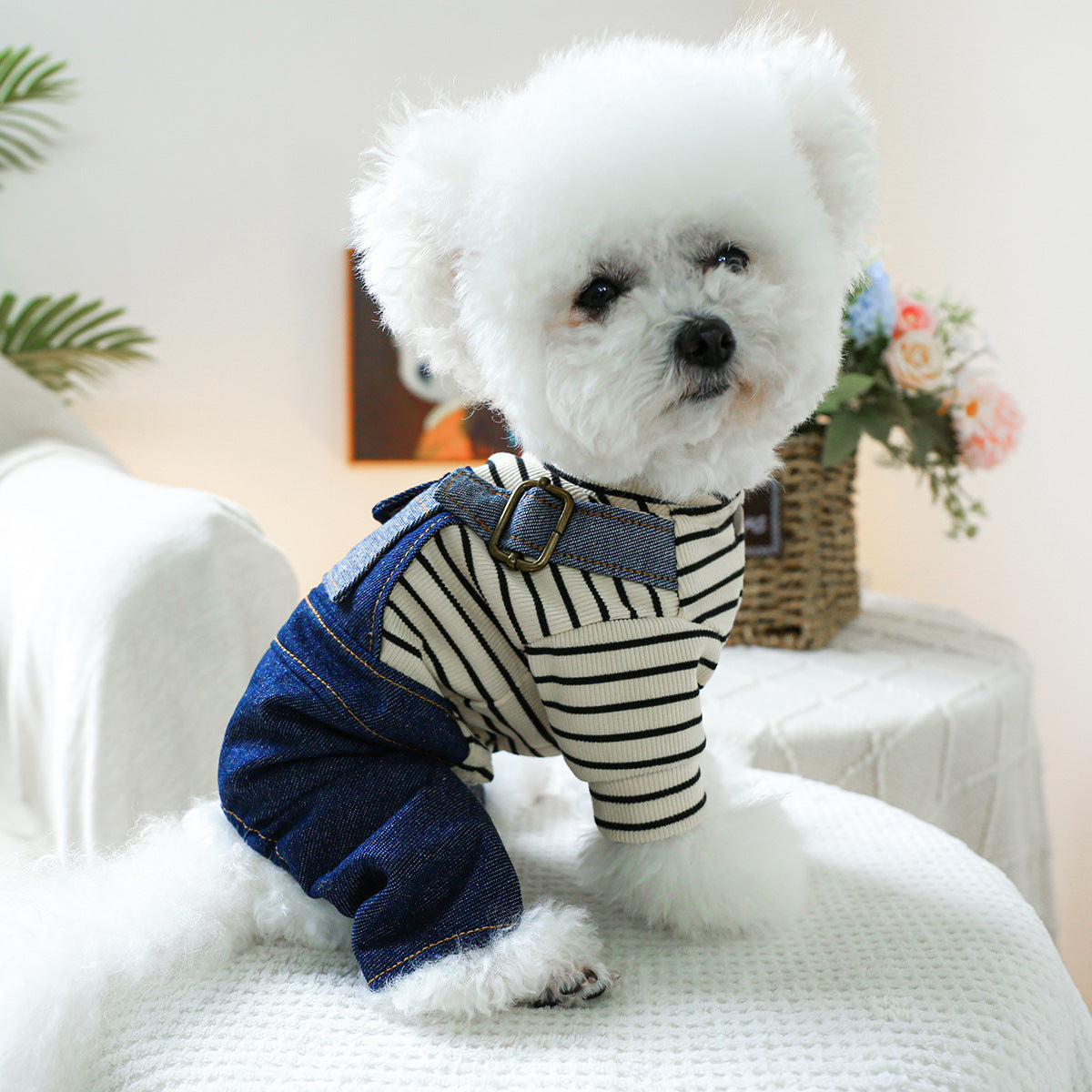 Vintage Heart Dog Outfit
