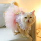 Princess Cat Lace Dress