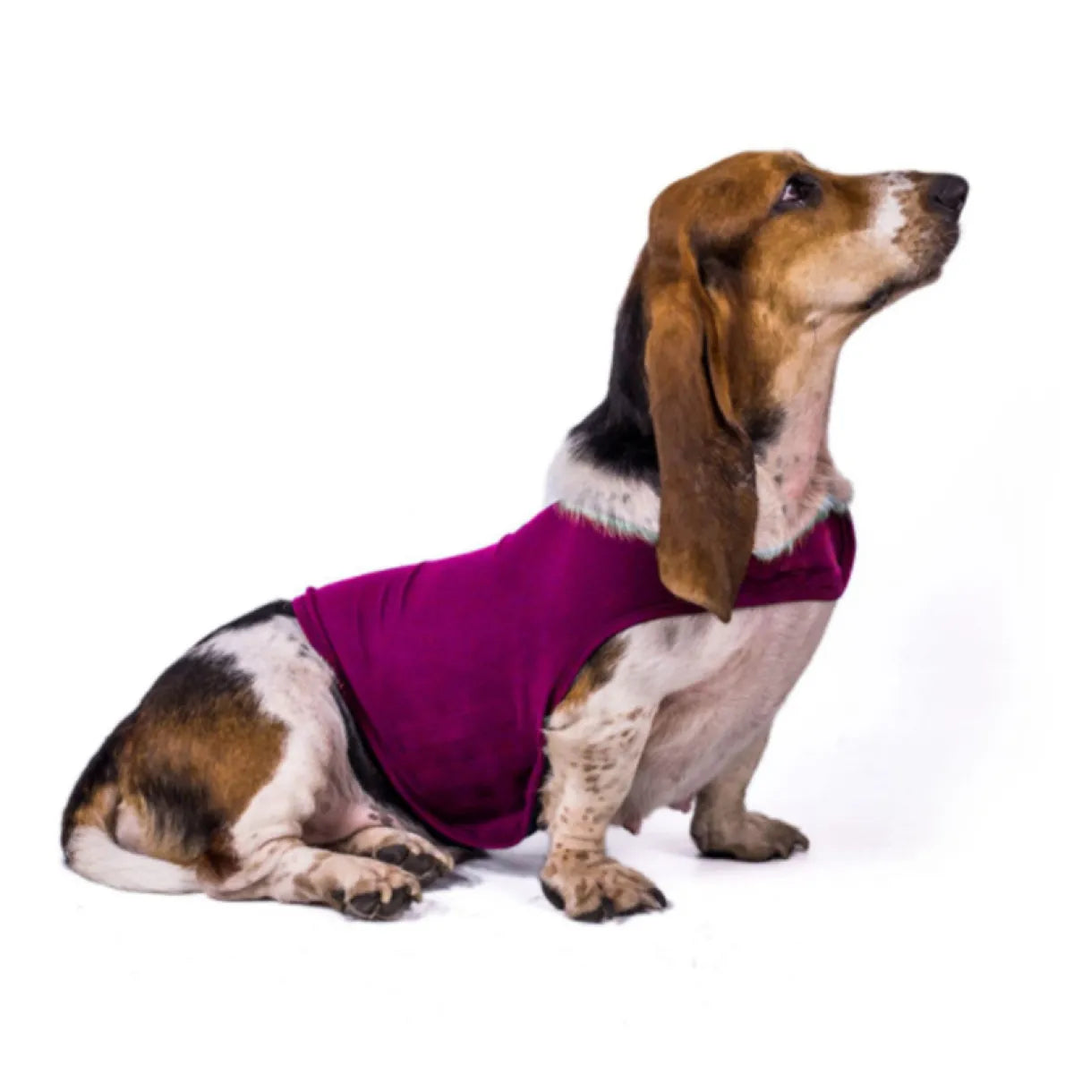 Comforting Warm Dog Anxiety Vest