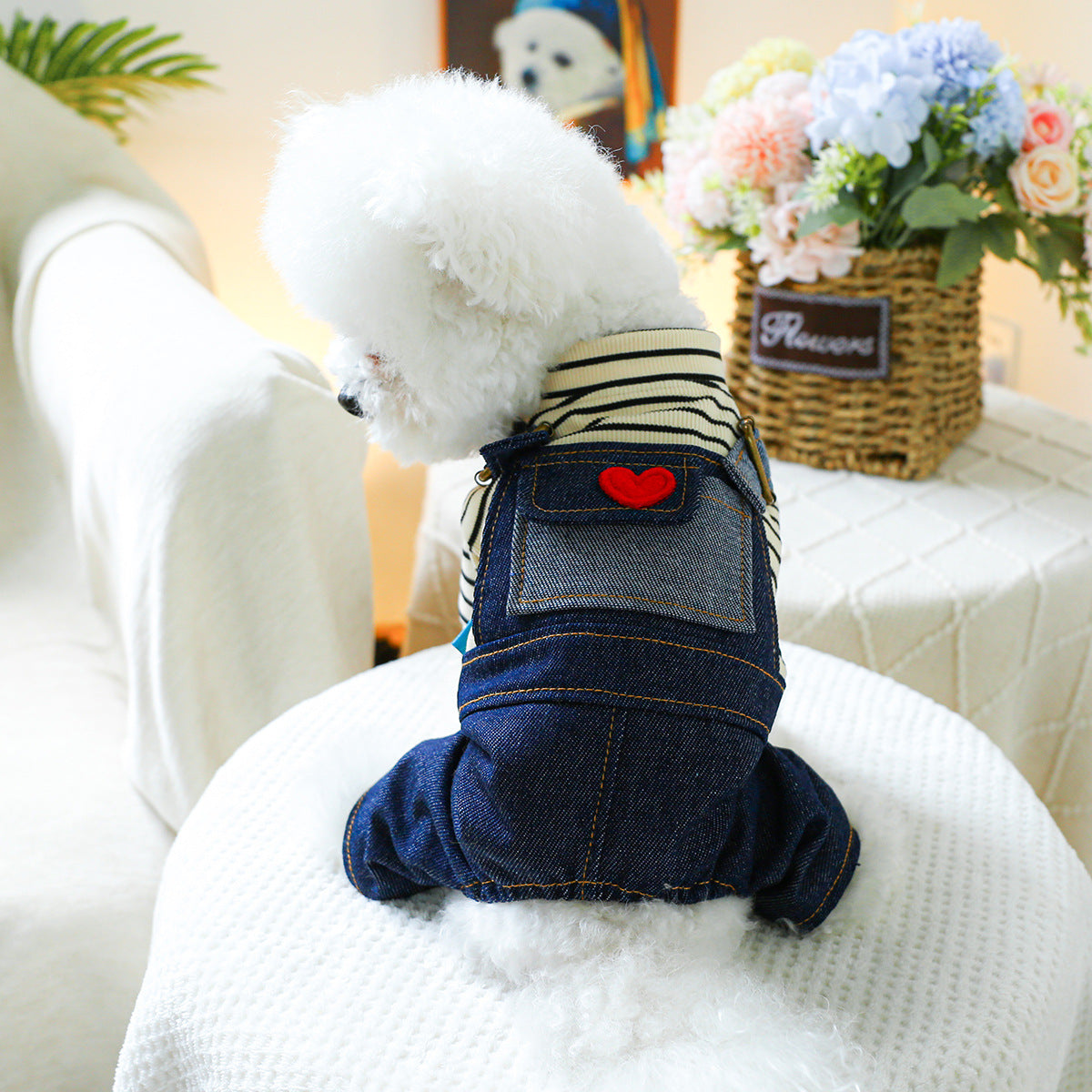 Vintage Heart Dog Outfit