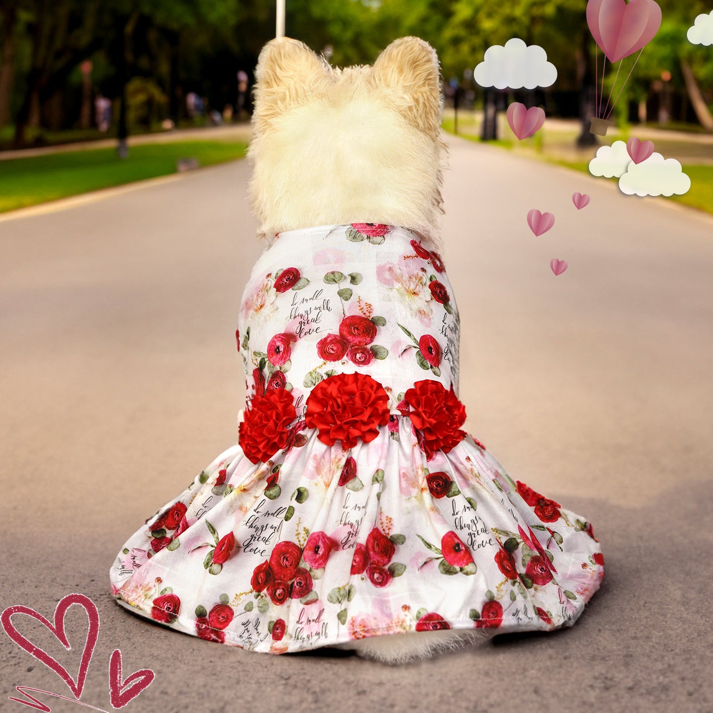 Cute Printed Pet Skirt