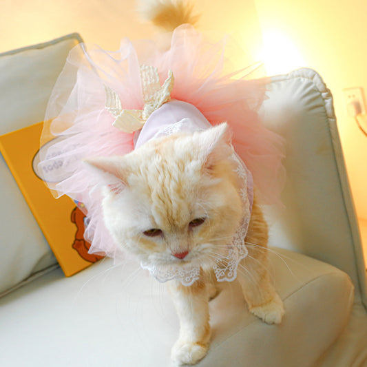 Princess Cat Lace Dress