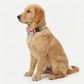 Adjustable Dog Gentleman Tie Collar
