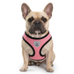 Pet Car Seat Belt Pet Leash