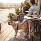 Pet Car Seat Belt Pet Leash
