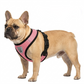 Pet Car Seat Belt Pet Leash