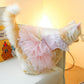 Princess Cat Lace Dress