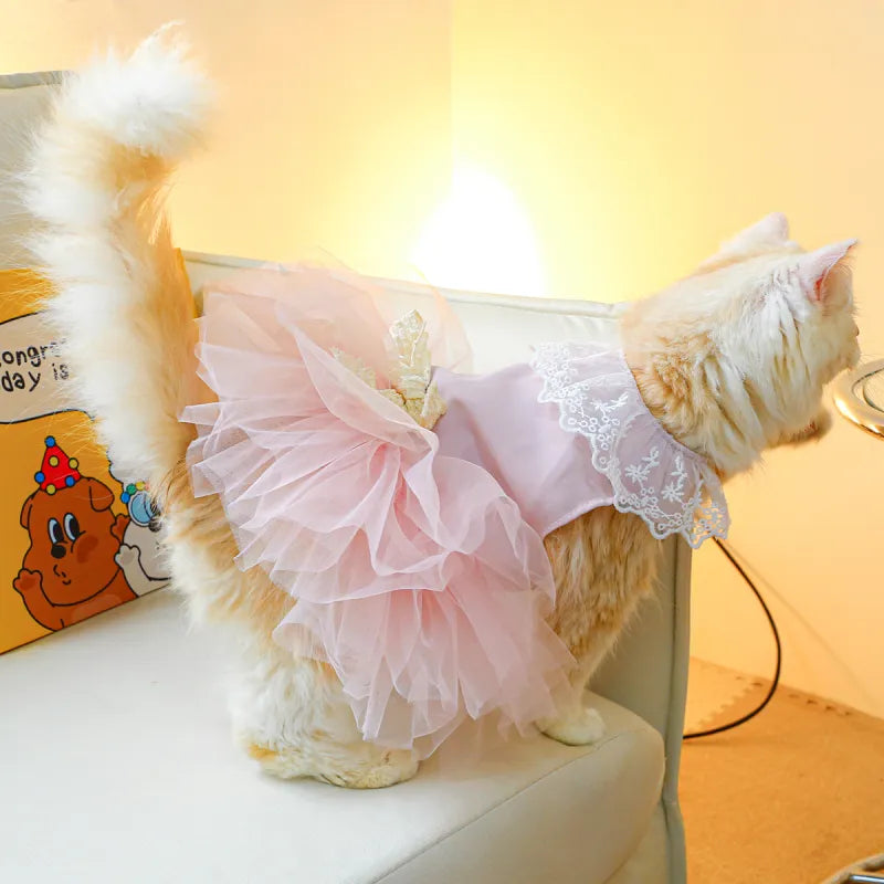 Lace Cat Clothing for Pets