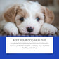 Dog Joint Health Supplement