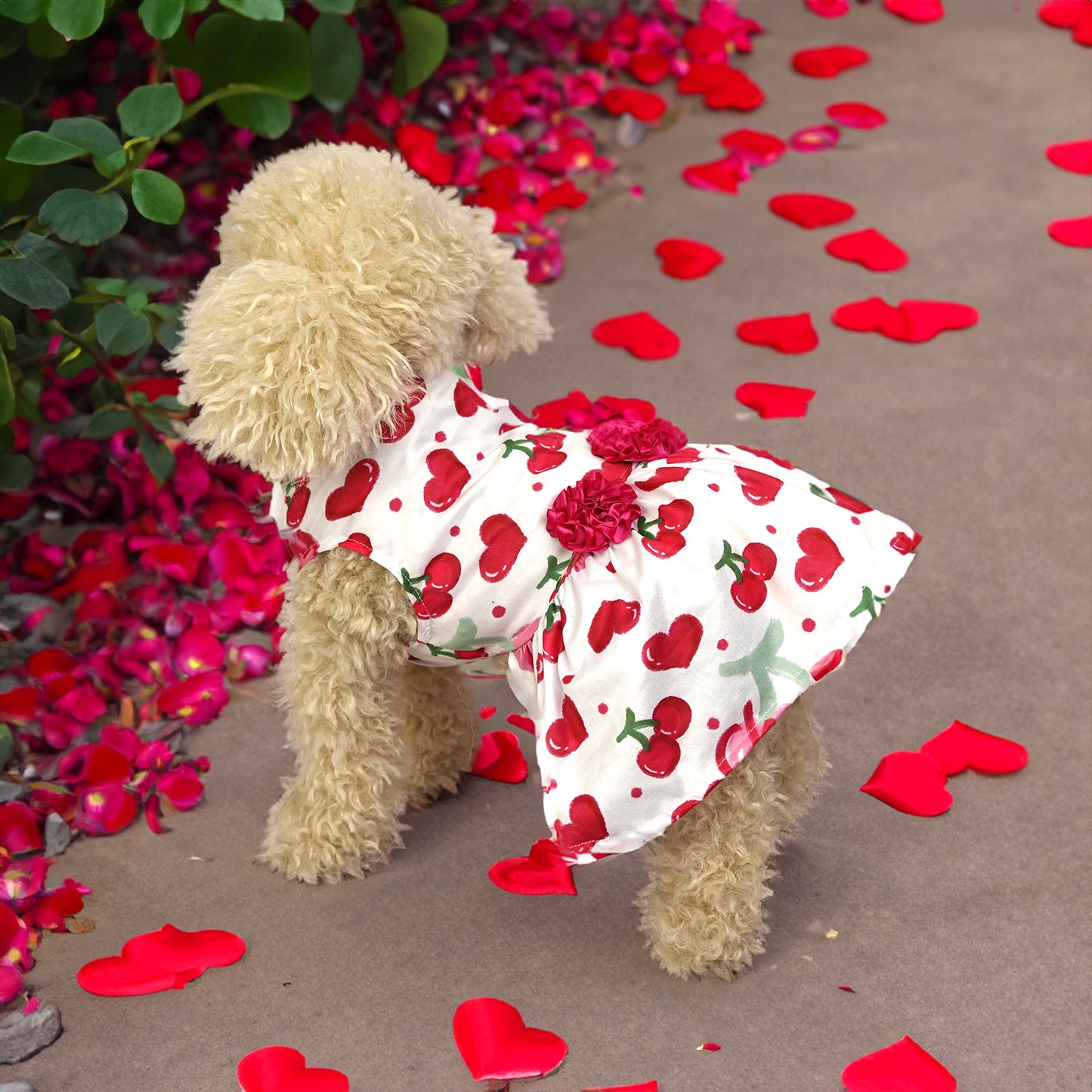 Cute Printed Pet Skirt