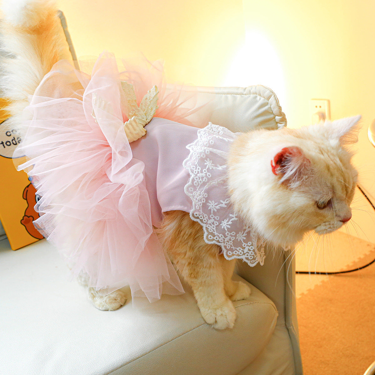 Princess Cat Lace Dress