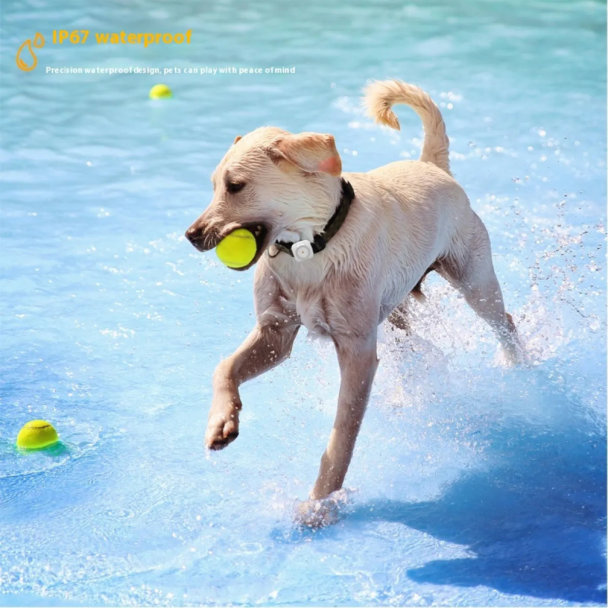 Pet GPS Locator Monitor