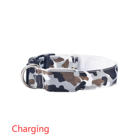 Camouflage Luminous LED Dog Collar