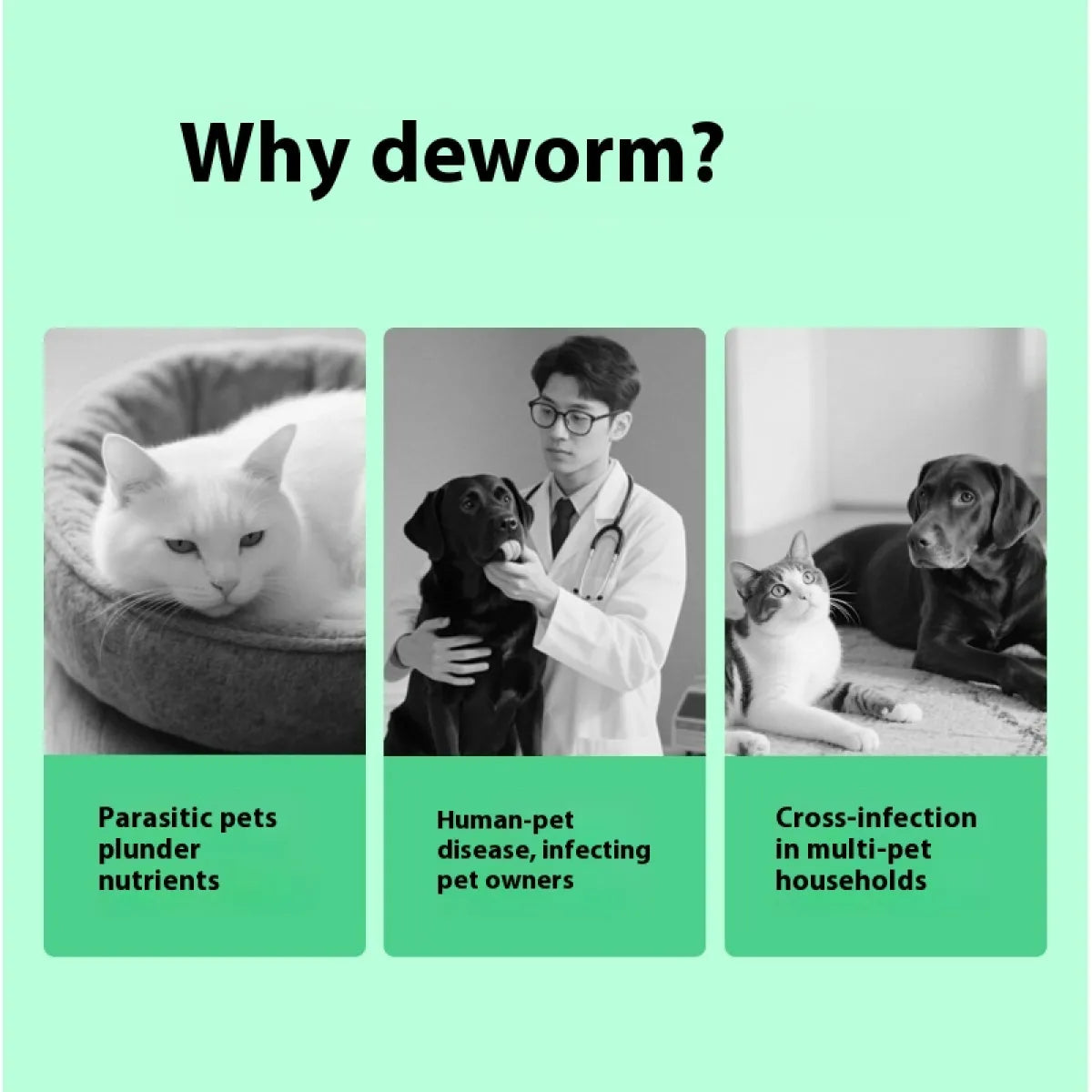 Pet Itching Relief Care